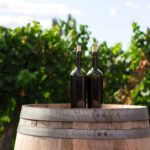 Spanish wine trails